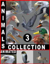 Animals Birds Collection