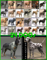 24 Dogs Collection