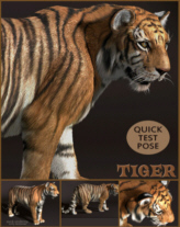 Tiger Hi res